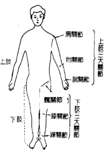 七項重大疾病分析:癱瘓 - 第6張圖 七項重大疾病分析:癱瘓