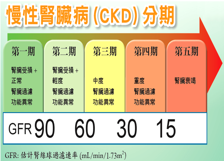 七項重大疾病分析：慢性腎衰竭（尿毒症）